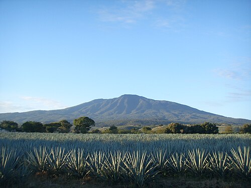 Tequila Volcano