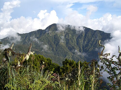 Mount Dulang-dulang