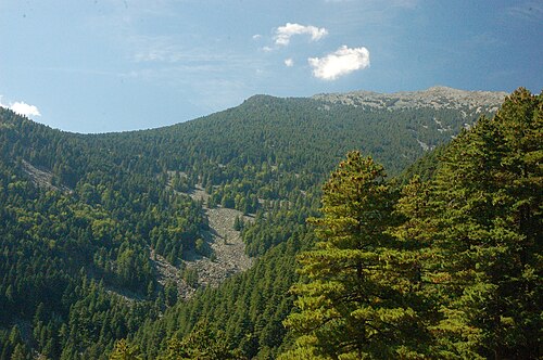 巴巴山